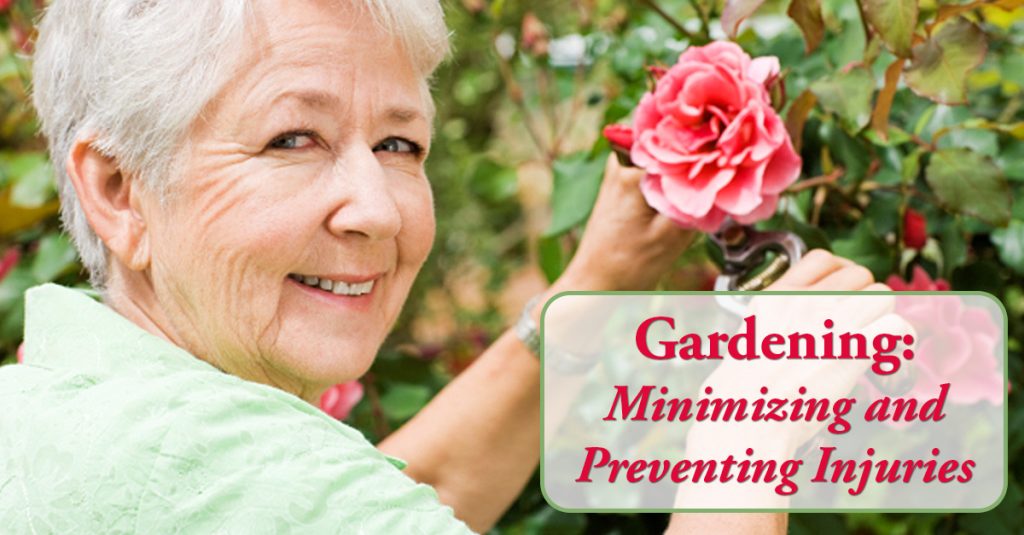 Senior Caucasian woman with a pink rose with text "Gardening: Minimizing and Preventing Injuries"