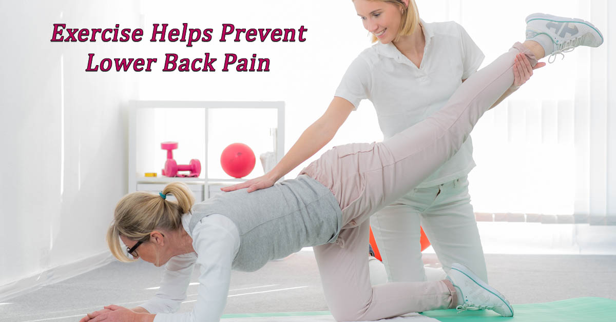 Exercise Helps Prevent Lower Back Pain. Picture of a caucasian female exercising with a caucasian female physical therapist.