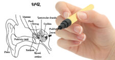 Representing vestibular rehab, this is an image of a hand with a pen drawing and labeling the anatomy of the inner ear.